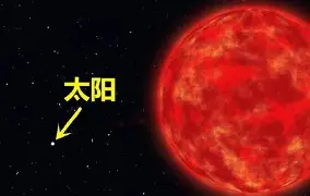 莎拉波娃携手姚迪战意甲球迷热议(莎拉波娃宣布订婚)|